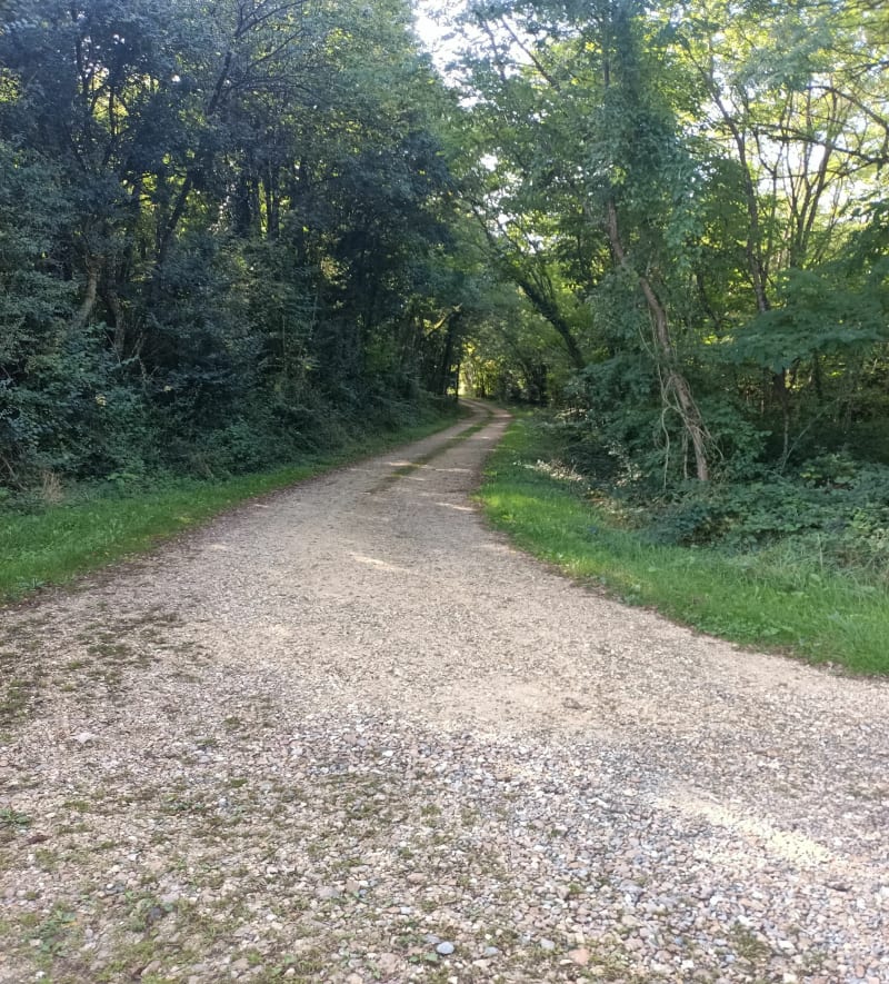 Circuit chapelle Sainte Cécile, lac de Marcon - Montval-sur-Loir