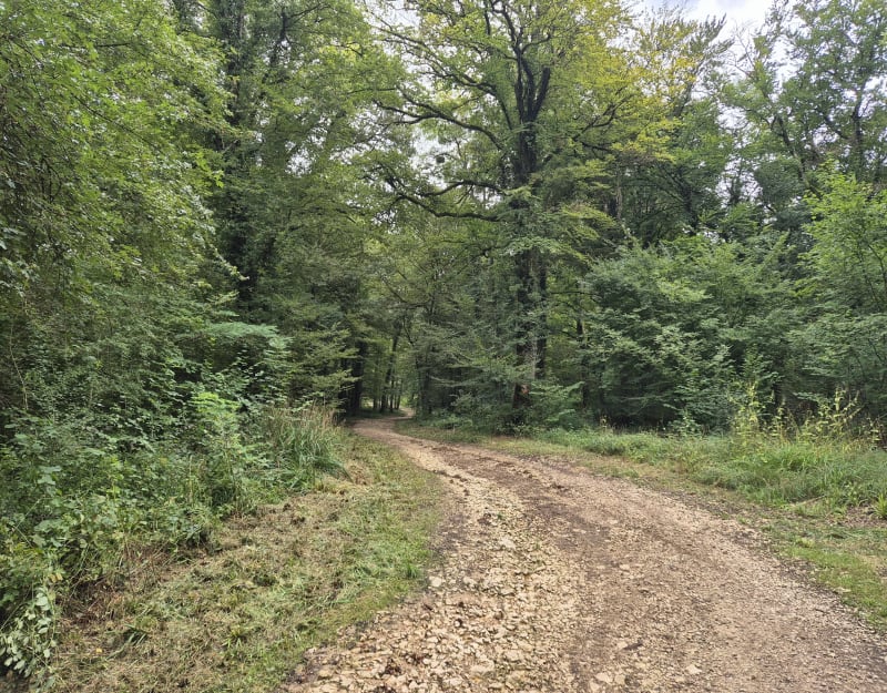 De Vieilley à Devecey par les chemins - Vieilley