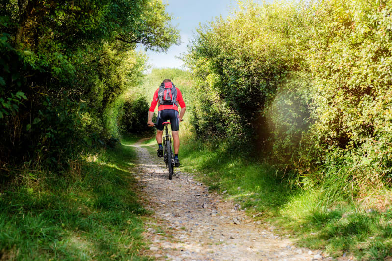 Circuit 6 forêt de Perseigne - Villaines-la-Carelle