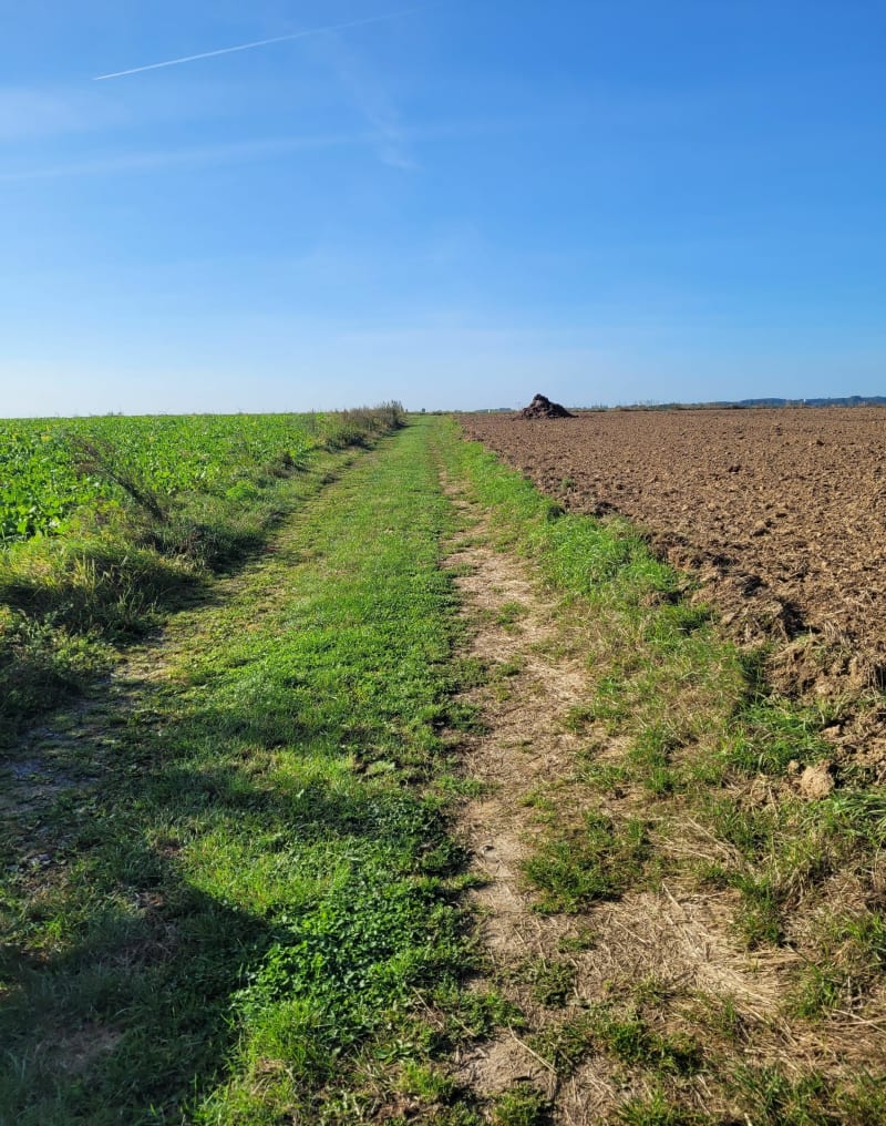 Boucle Caudry, Audencourt, Inchy et Troisvilles - Caudry