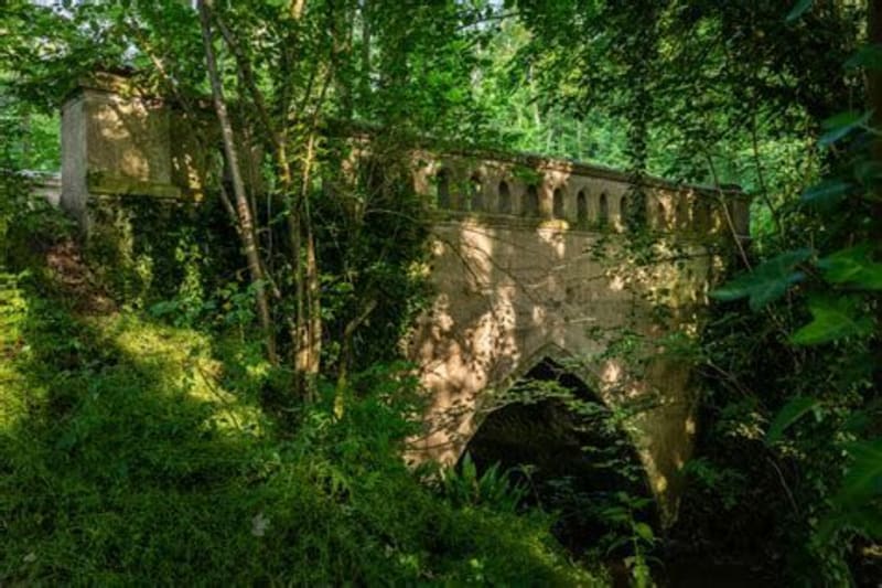 Course dans le bois de Tourville-sur-Odon - Tourville-sur-Odon