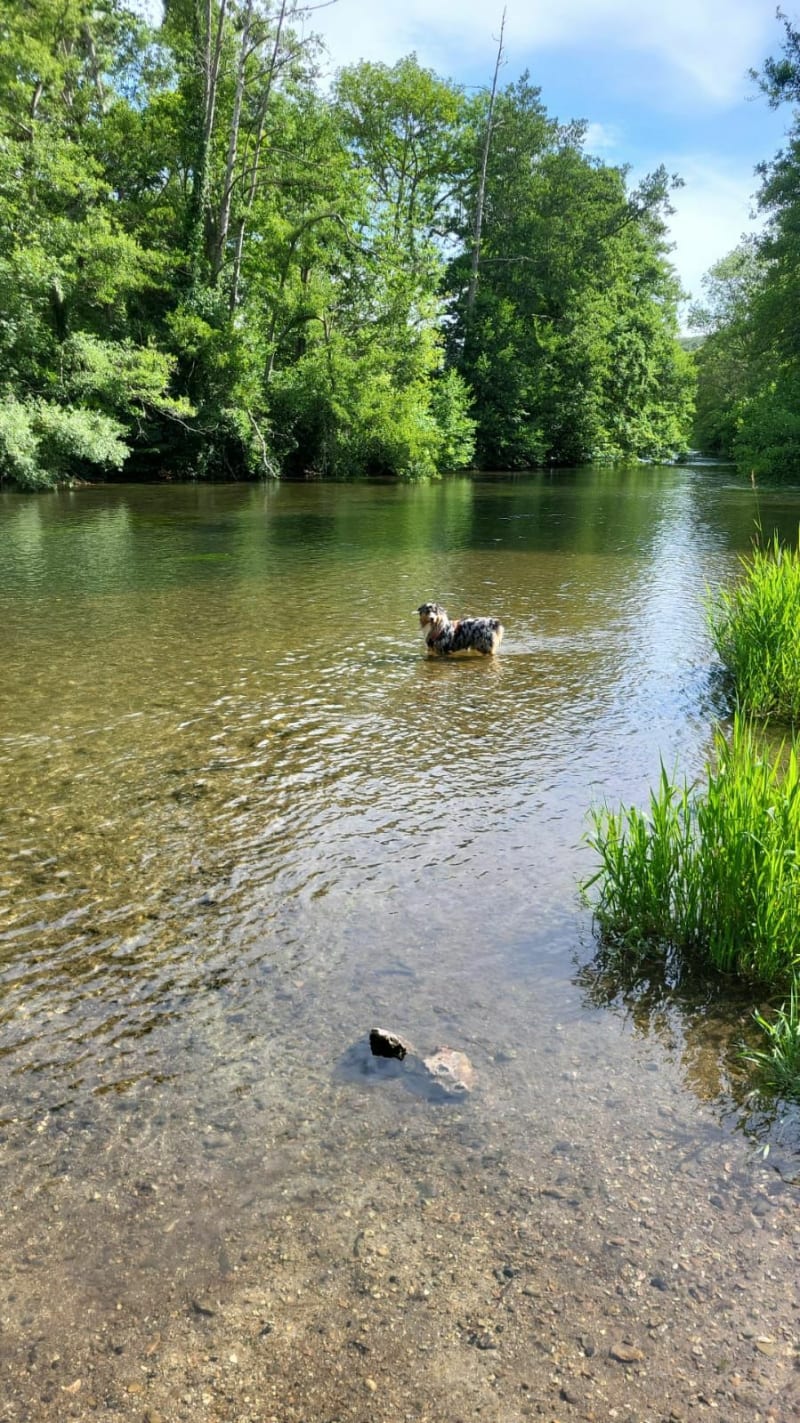 Muzy et ses berges de l'Avre par la forêt - Dreux