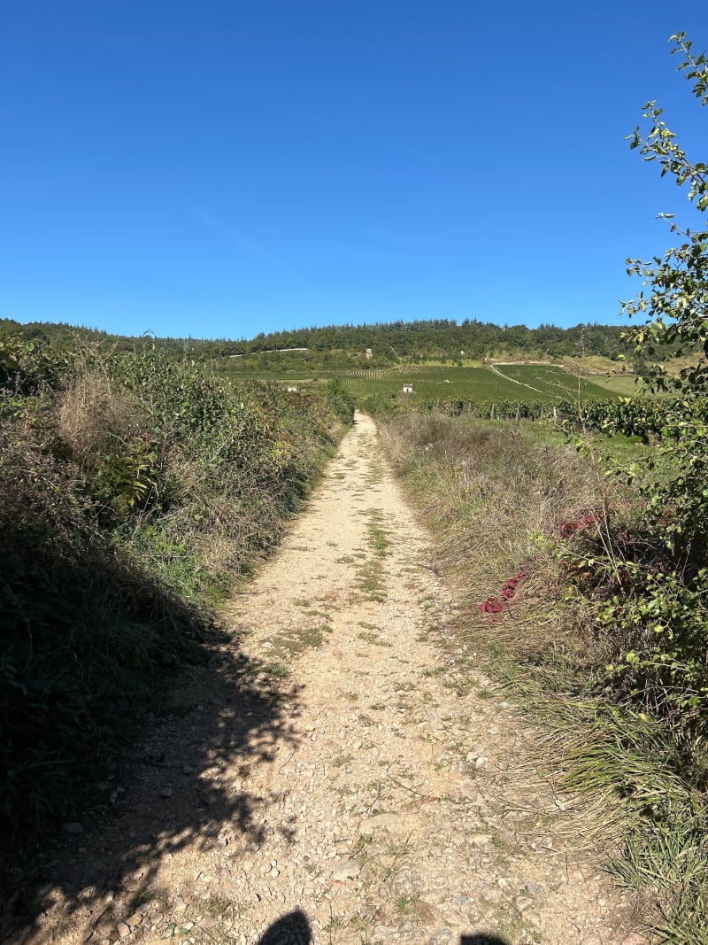 Rando sur les hauteurs de Givry - Givry