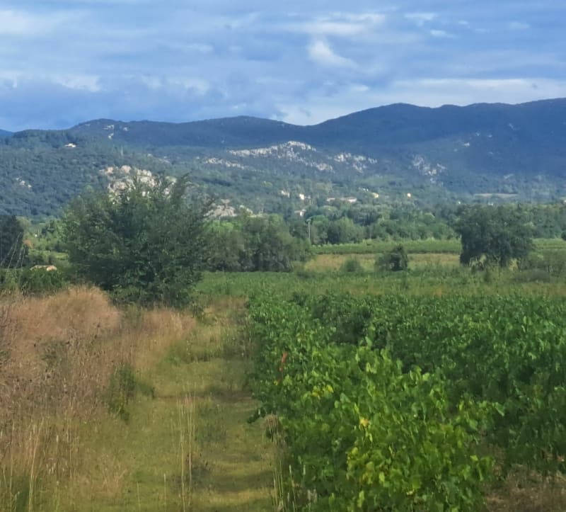 Entre Massillargues et Atuech - Massillargues-Attuech