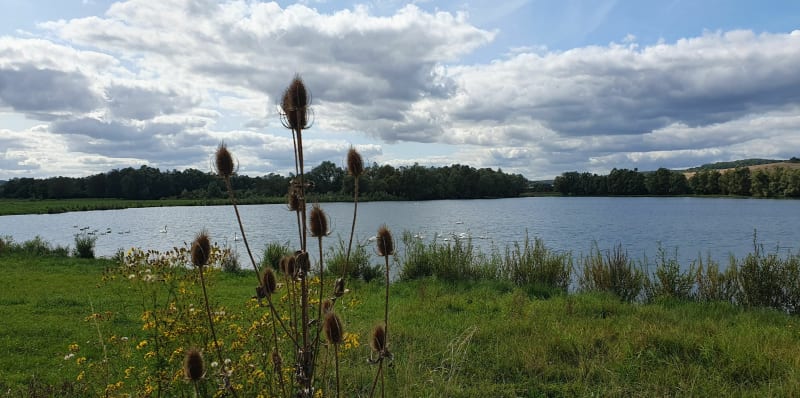 La Meuse par la voie verte - Thierville-sur-Meuse
