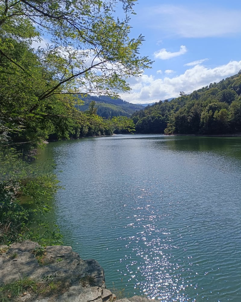 Du barrage de la rive au Crêt de la Perdix - La Valla-en-Gier