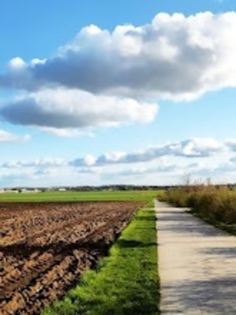 Balade en famille calme à Faches-Thumesnil - Wattignies