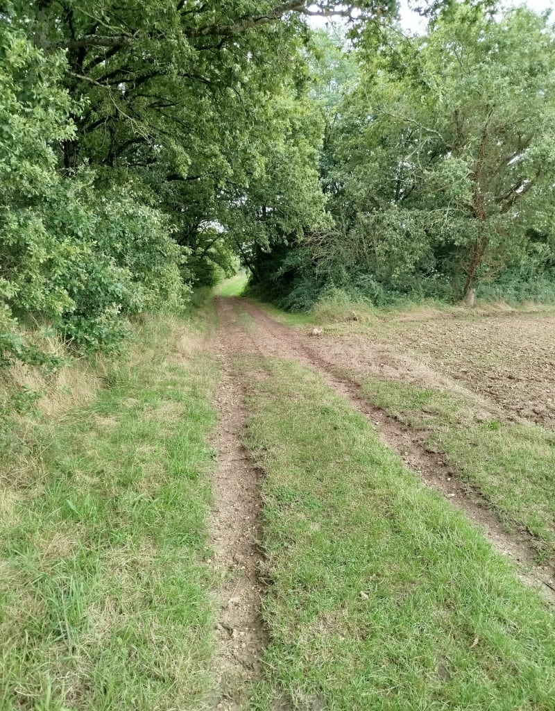 Randonnée à Luzillé par le Coudray - Luzillé