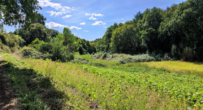 Boucle des Brunies à Lachapelle-Gonaguet - La Chapelle-Gonaguet