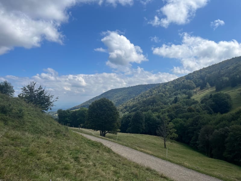 La source de la Doller au départ du Lachtelweiher - Kirchberg