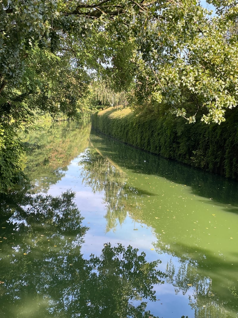 Canal de Tourcoing - Tourcoing