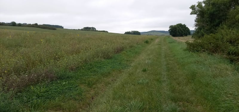 Balade avec vue sur la colline Ste-Germaine depuis Bar - Bar-sur-Aube