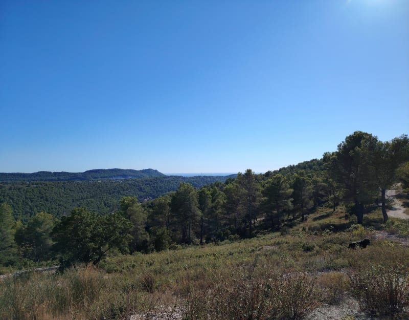 Vue sur le Cap Canaille, depuis Roquefort - Roquefort-la-Bédoule
