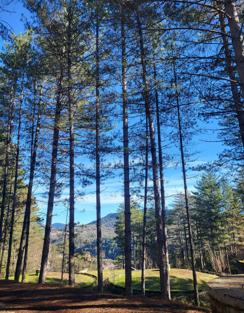 Forêt de l'Usclade - Lamalou-les-Bains