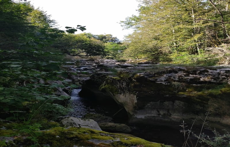Gorges de Thurignin et Cascade de Cerveyrieu - Valromey-sur-Séran