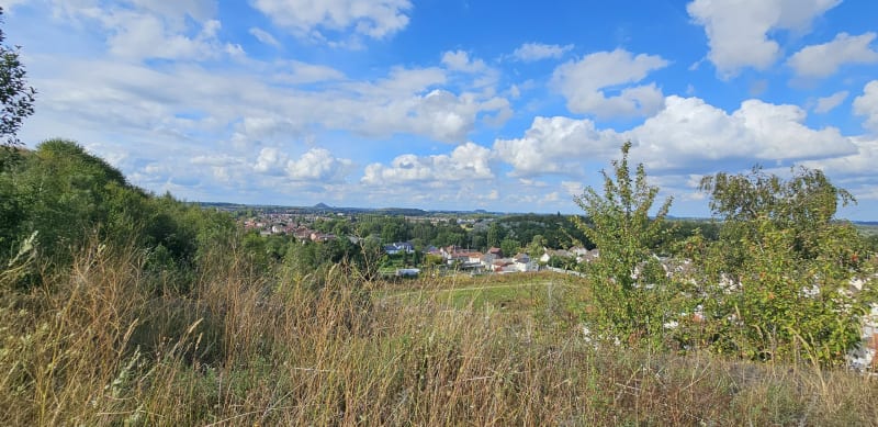Marche aux Parcs des Îles - Hénin-Beaumont