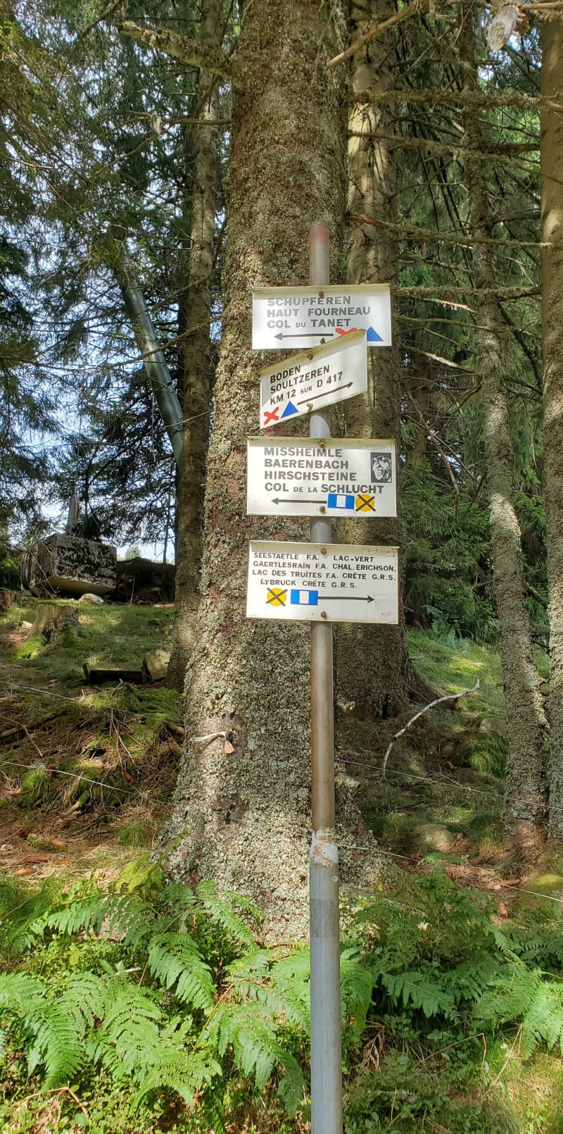 Boucle du Col de la Schlucht au Gazon du Faing - Le Valtin