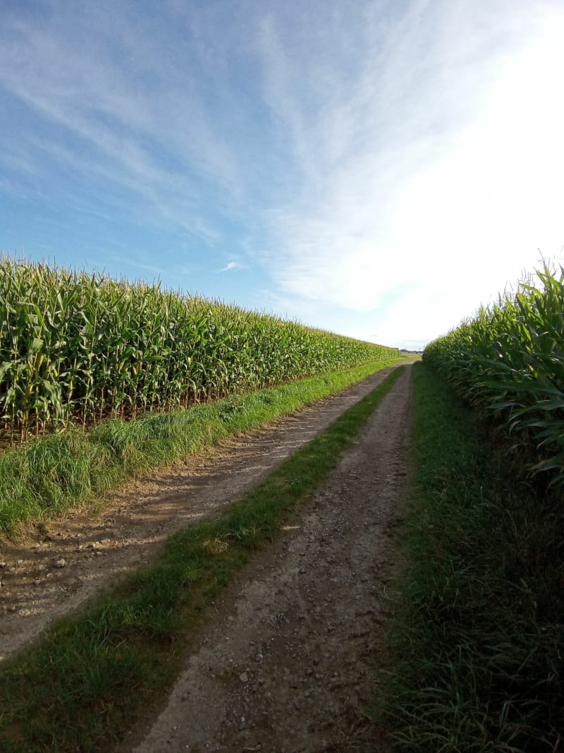 Balade nature d'Ouve-Wirquin à Wavrans-sur-l'Aa - Ouve-Wirquin