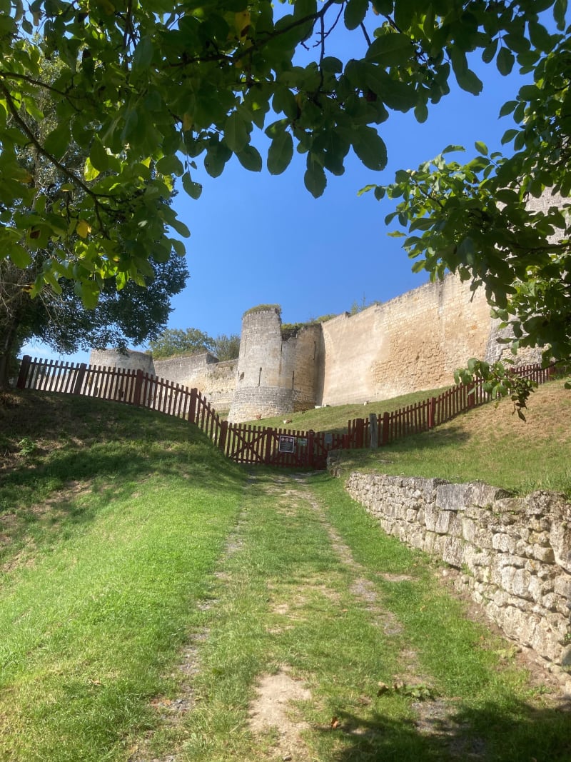 Coucy tranquille - Coucy-le-Château-Auffrique