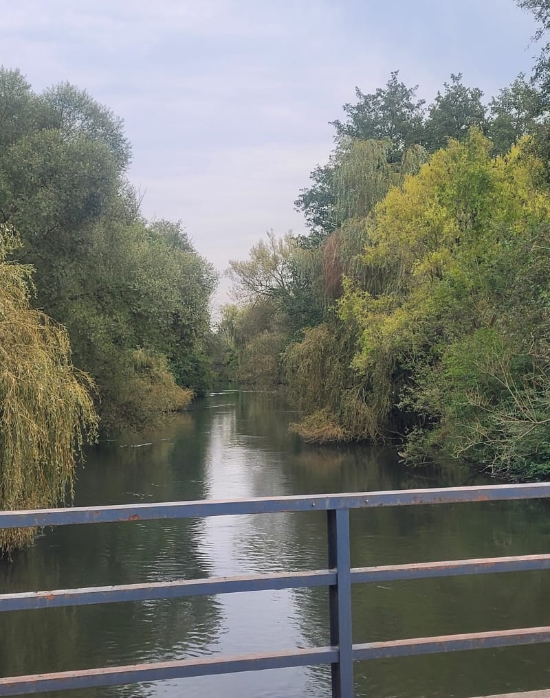 Boucle le long du Rhin - Hipsheim