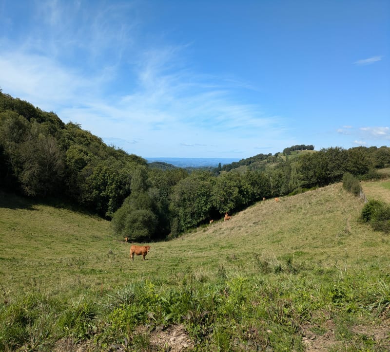 Forêt et points de vue au-dessus d'Auzits et Bournazel - Escandolières