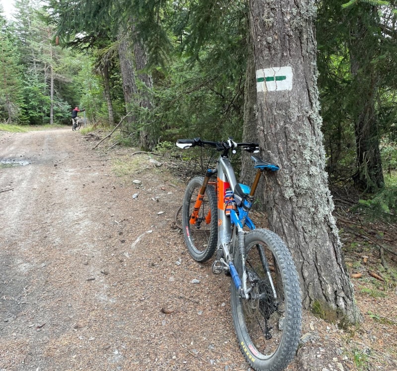 Des Chapeliers, par Selonnet et la crête aux mélèzes de Chabanon à VTT - Montclar