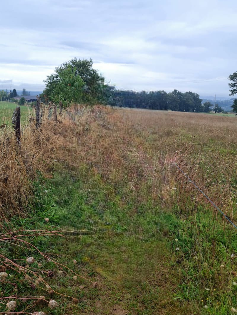 Sentier Saint Roch Jourgnac - Jourgnac