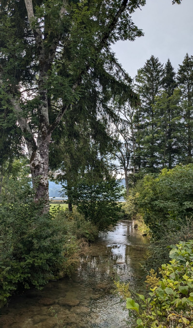 Source Bleue et lac Saint Point - Montperreux