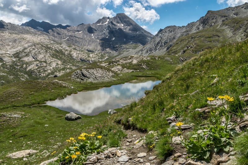 Queyras - Pic de Foréant-wandeling - Molines-en-Queyras