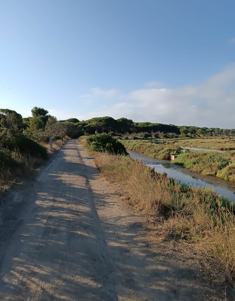 Vers l'Ayguade et le Roubaud - Hyères