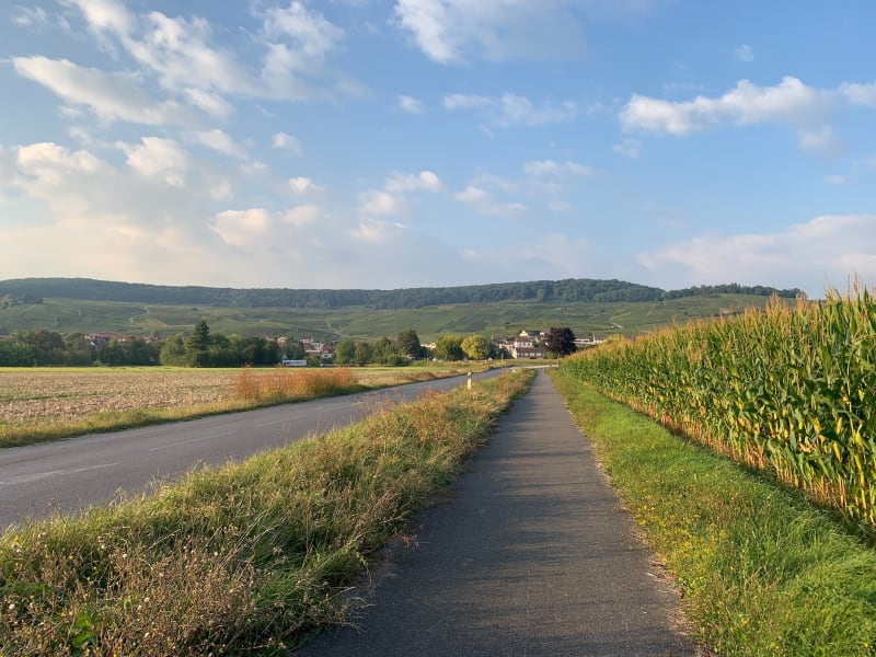 Entre ville et voie verte à Épernay - Épernay