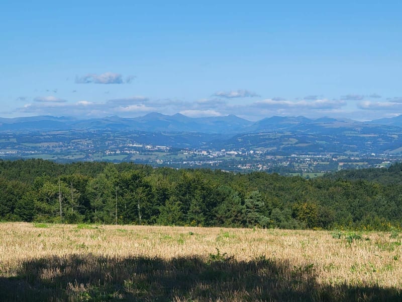 Bois de Saint-Mamet-la-Salvetat, par Fargues - Saint-Mamet-la-Salvetat