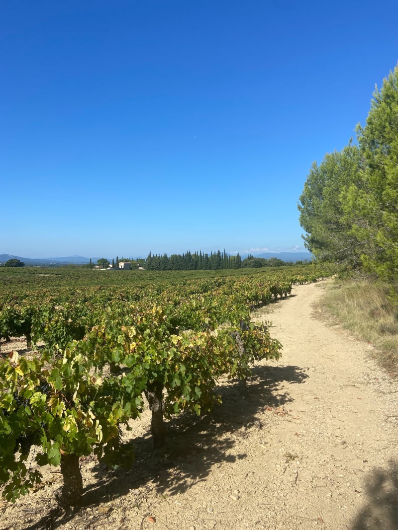 Balade autour d’Aigremont dans le Piémont Cévenol - Aigremont