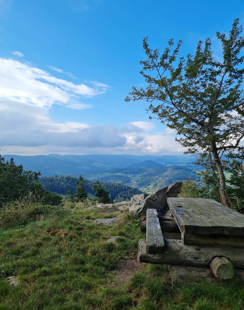 Depuis le belvédère, vues sur Fréland et forêt du Kalblin - Fréland