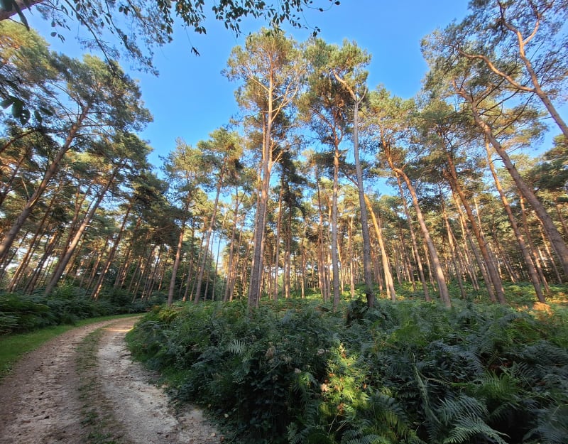 Tour entre Billeul-sur-Thérain et la Neuville-en-Hez - La Neuville-en-Hez