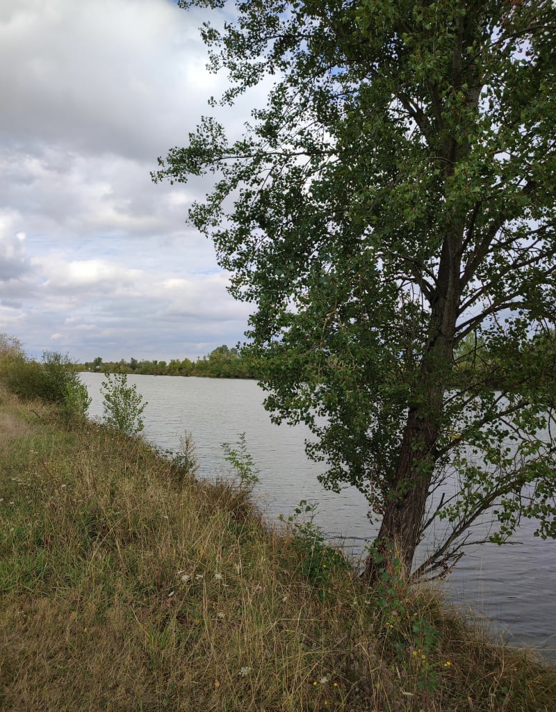 Lac des Bonnets - Muret