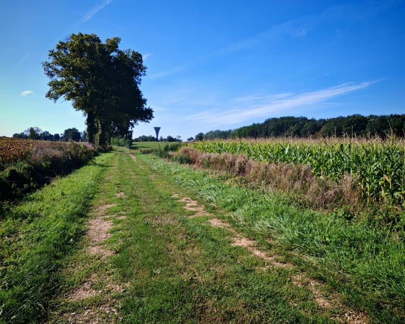Découverte en Bresse - Béréziat