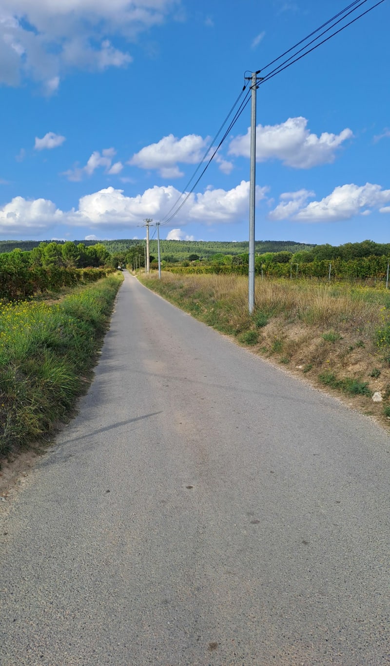 Boucle dans les petites routes de Puyricard - Venelles