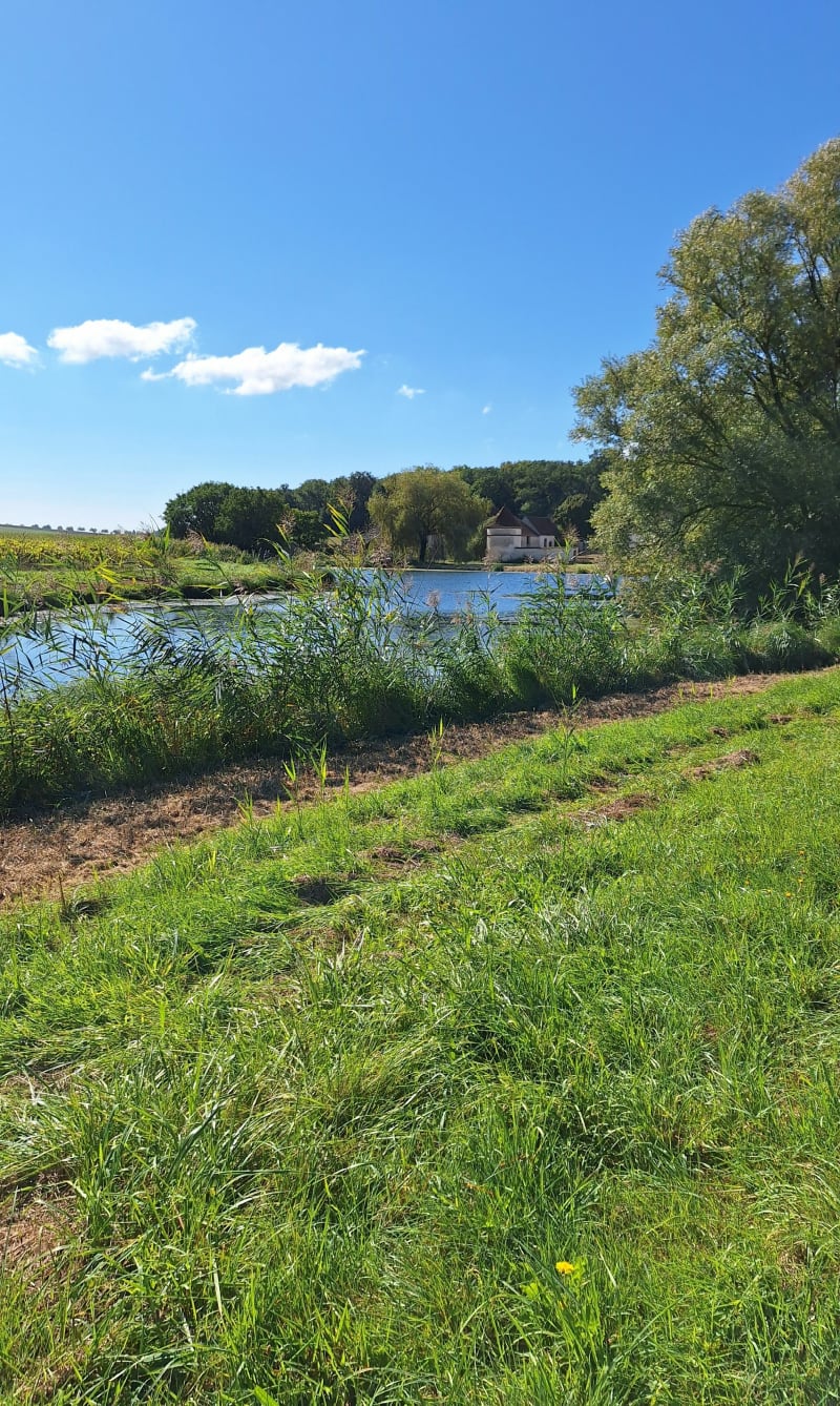 Boucle Belleneuve/Mirbeau/Noiron/Tanay/Magny Saint Médard - Belleneuve