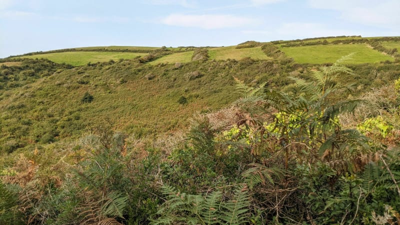 Rando de Biville, par le Petit Thot - La Hague