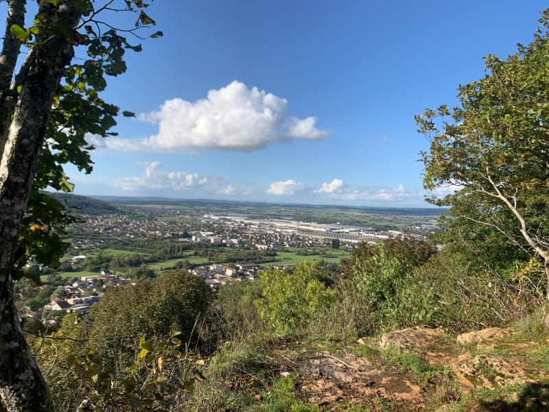 Forêt et plateau de Cita - Échenoz-la-Méline