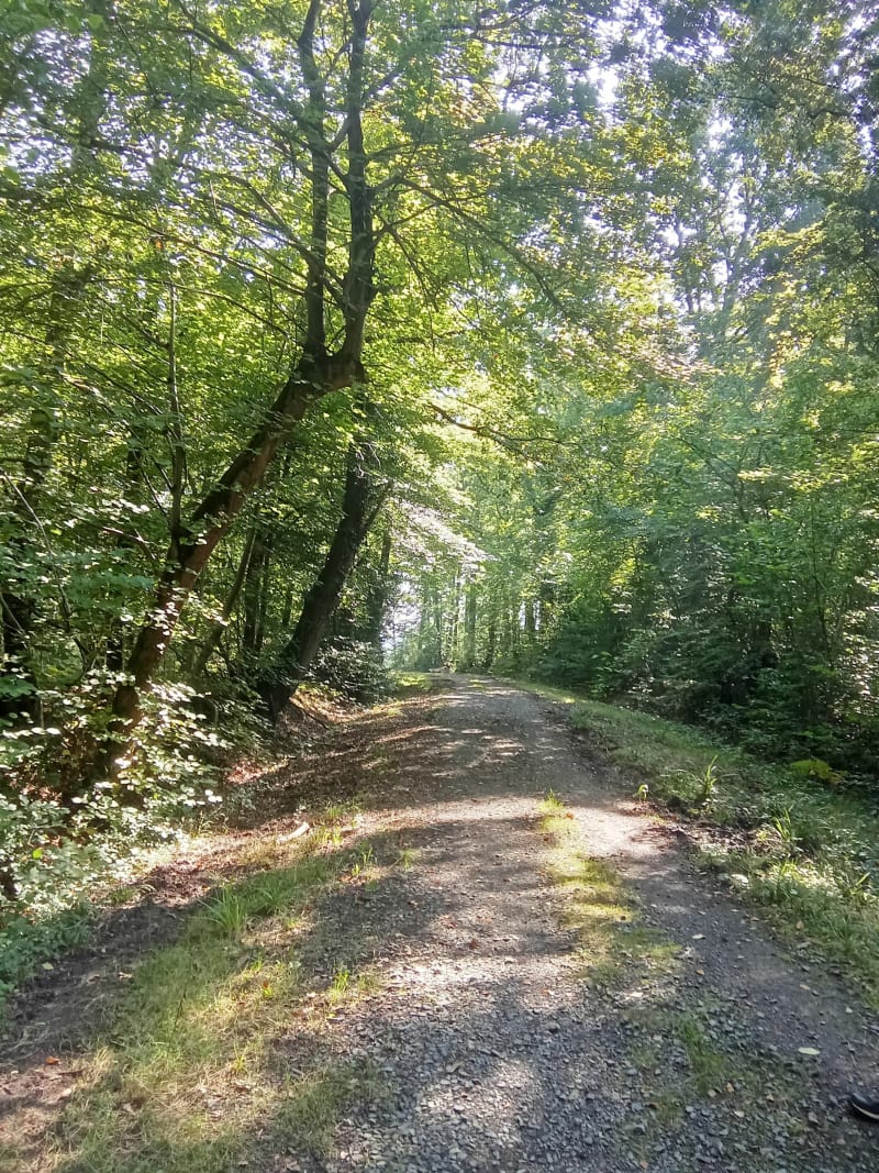 Bavent entre forêt et Marais de Bavent - Bavent