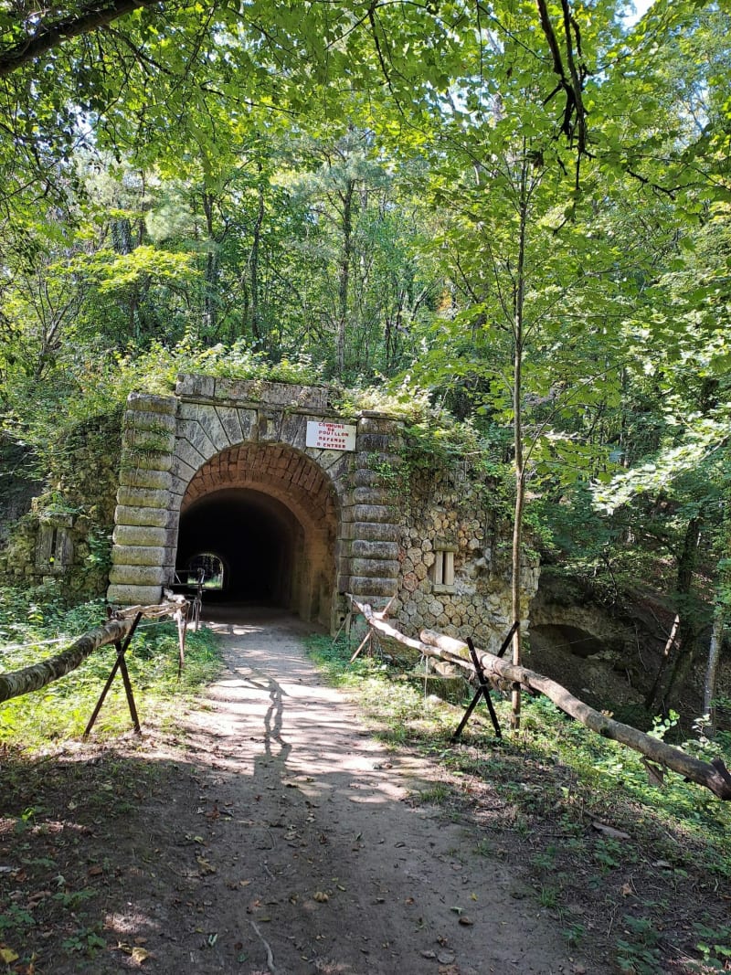Fort de Chenay, entre vignes et bois - Chenay