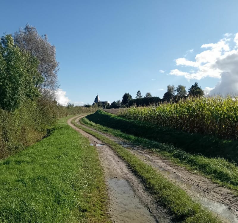 Rando sur Saulces et ses alentours - Saulces-Monclin