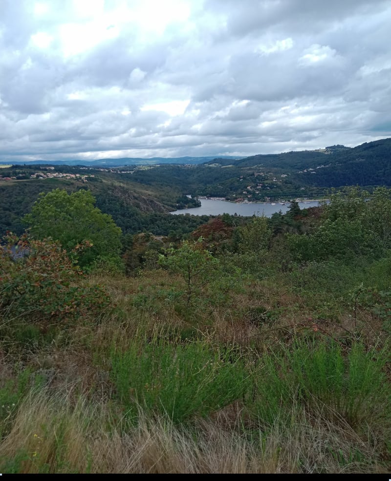 Dans les bois d'Essalois par les Camaldules - Chambles