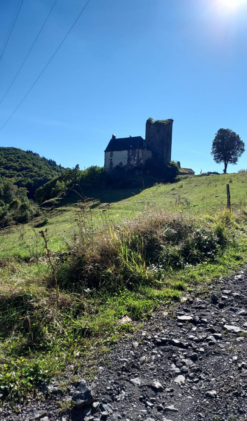 Petite boucle de Thouroux à Marze - Saint-Cernin