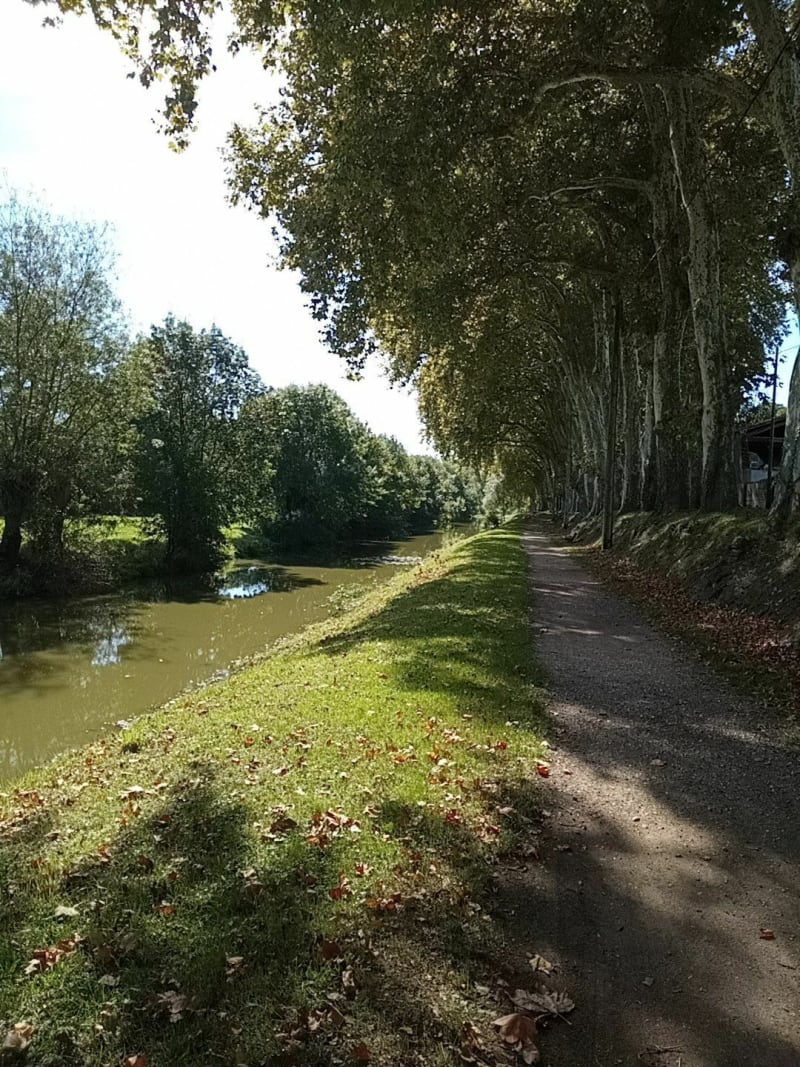 Balade au bord de l'eau à Thoissey - Thoissey
