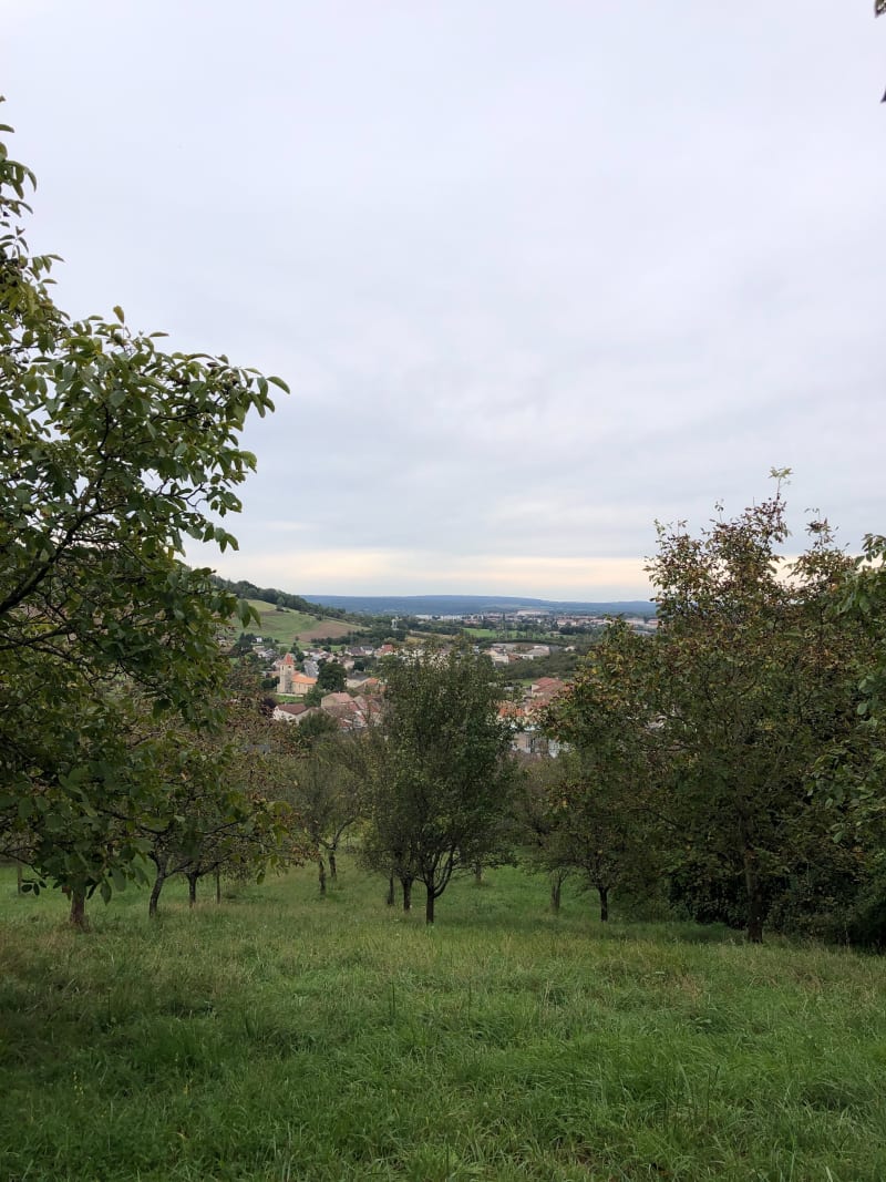 Pagney-derrière-Barine au plateau - Pagney-derrière-Barine