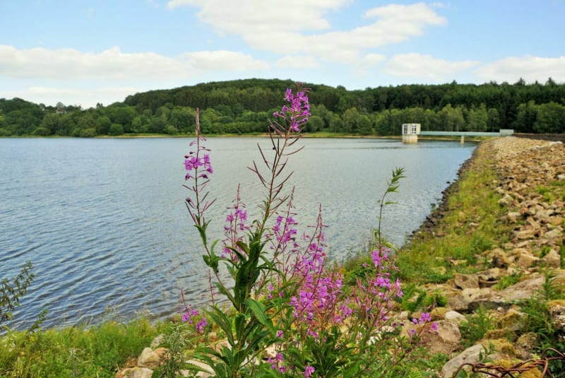 Boucle entre Liernais et lac de Chamboux - Liernais
