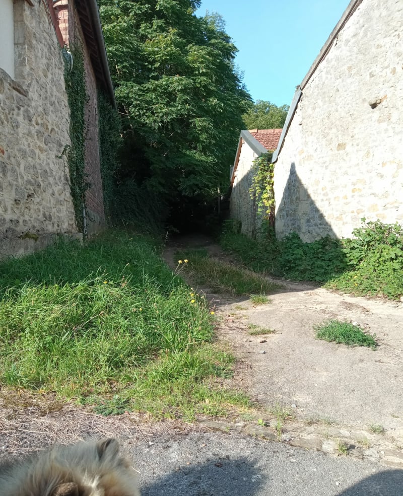 De Mauregny à Festieux - Mauregny-en-Haye